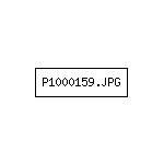 P1000159.JPG